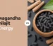 Ashwagandha vs Shilajit for energy